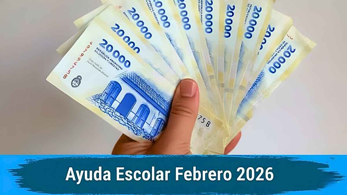 Ayuda Escolar Febrero 2026: $320,000 ARS por hijo, requisitos básicos, registro online y calendario oficial
